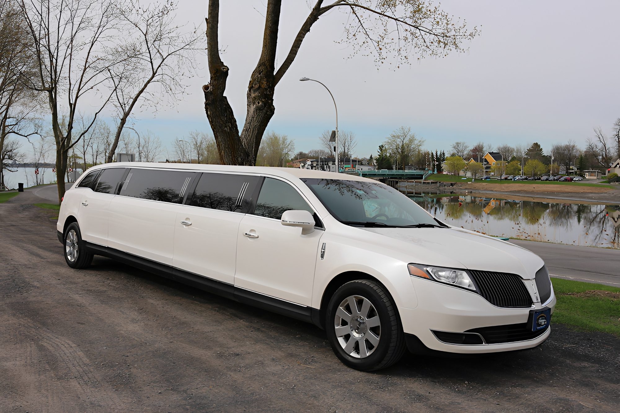 Long white car on a scenic road